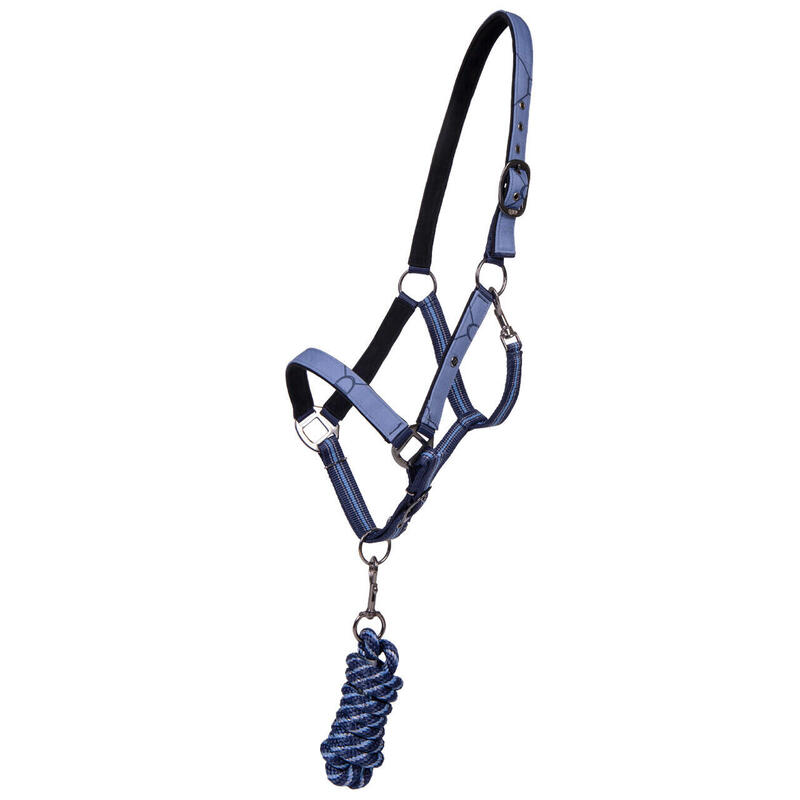 Capezza cavallo QHP Collection