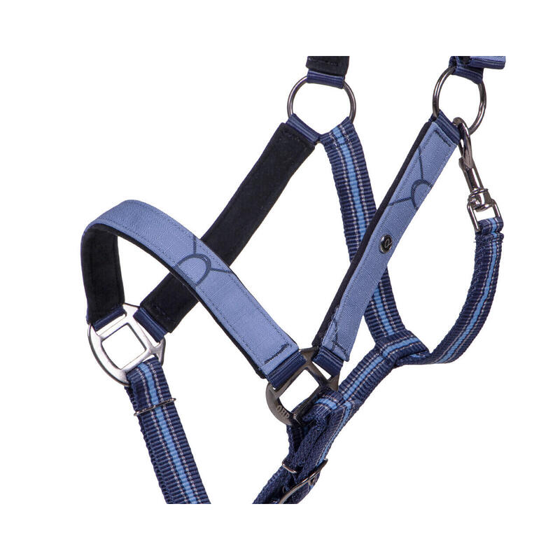 Capezza cavallo QHP Collection