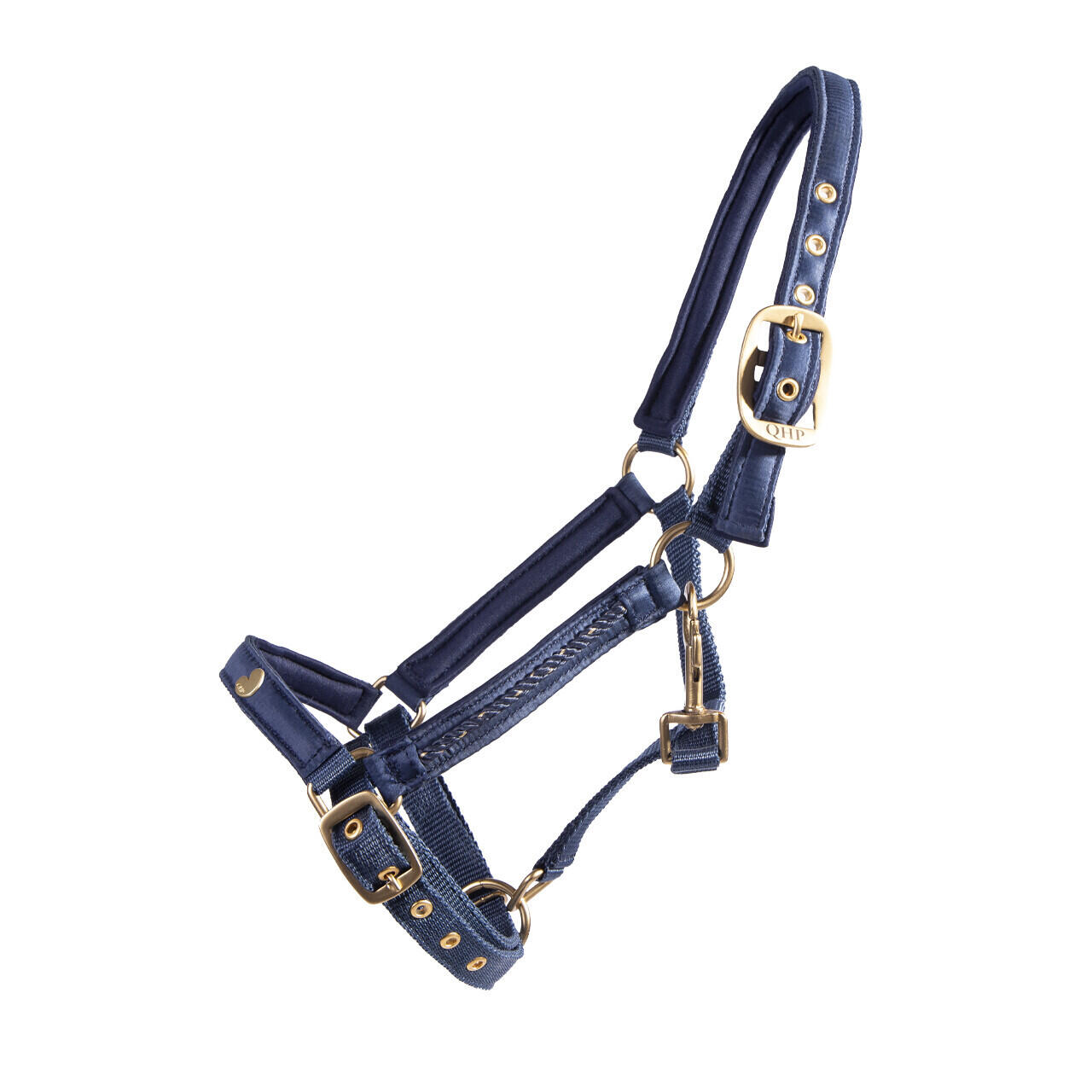 Qhp - Licol Pour Poulain Qhp Lily - Licol - Bleu - Decathlon