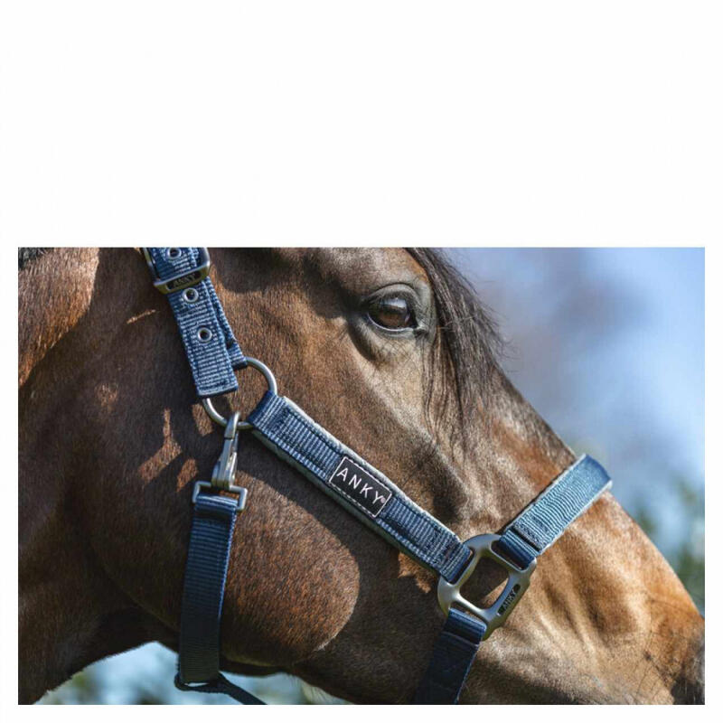 Leren halster voor paarden ANKY Grooming