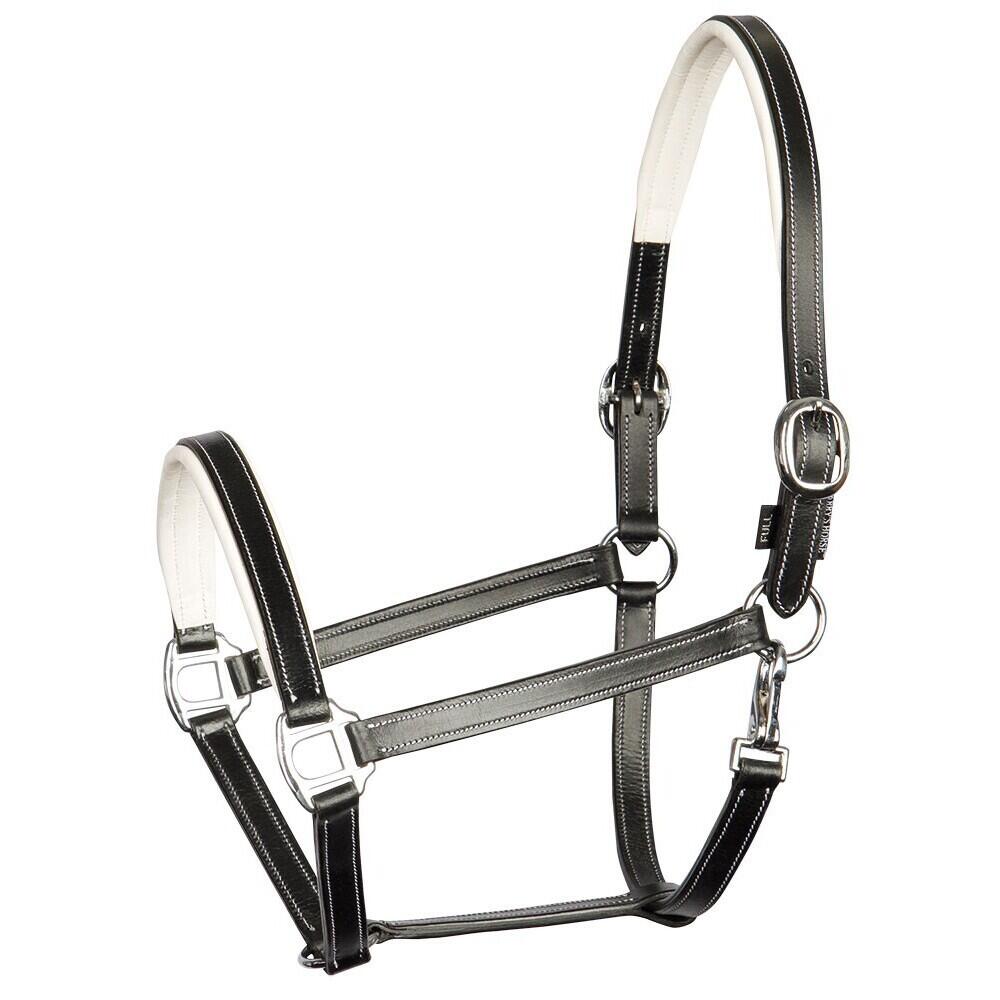 Leather halter for horses Harry's Horse Elegance