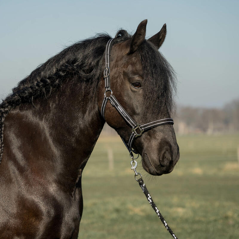 Halsterset voor paard Horka Orginals