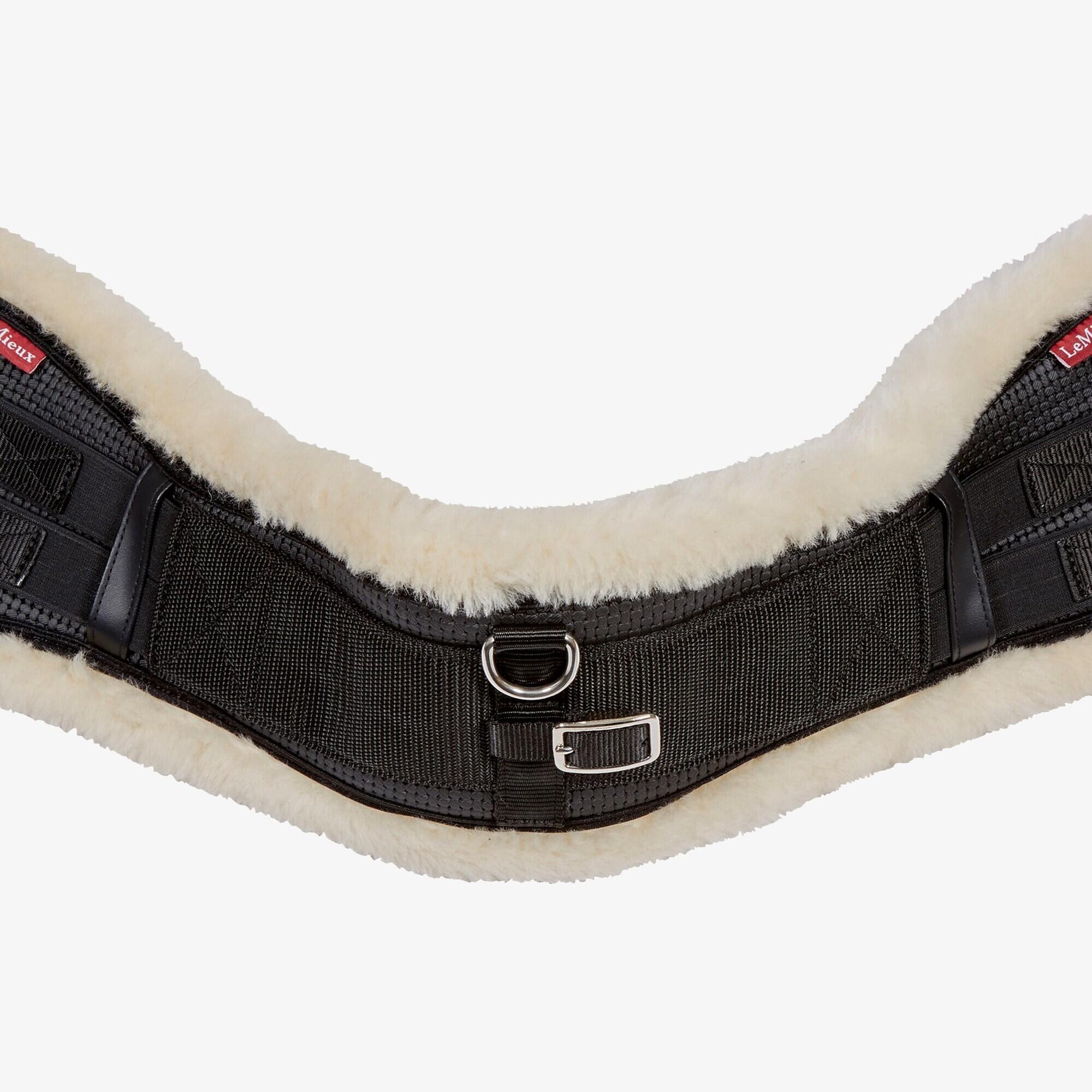 Sangle de dressage d'équitation intégrée LeMieux 2/7