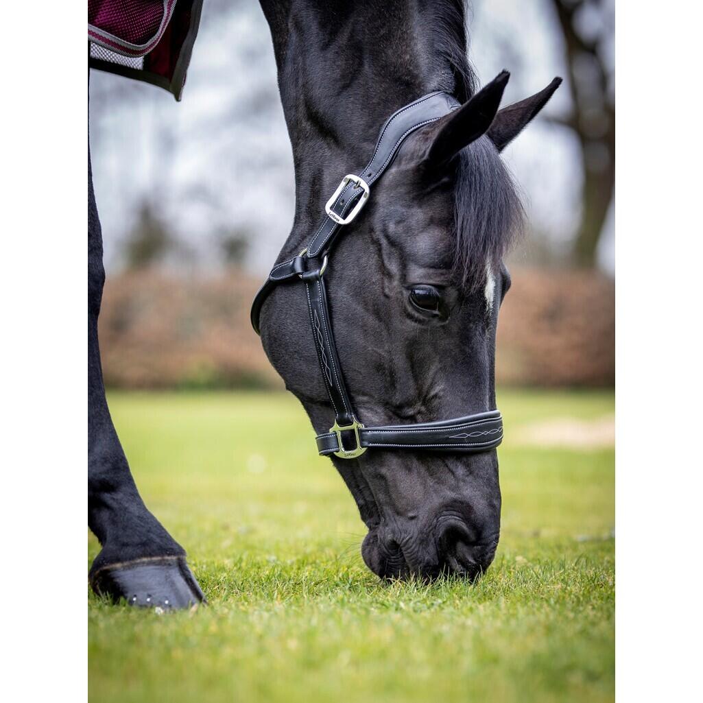Leren halster voor paarden LeMieux Stitched Comfort 2/3