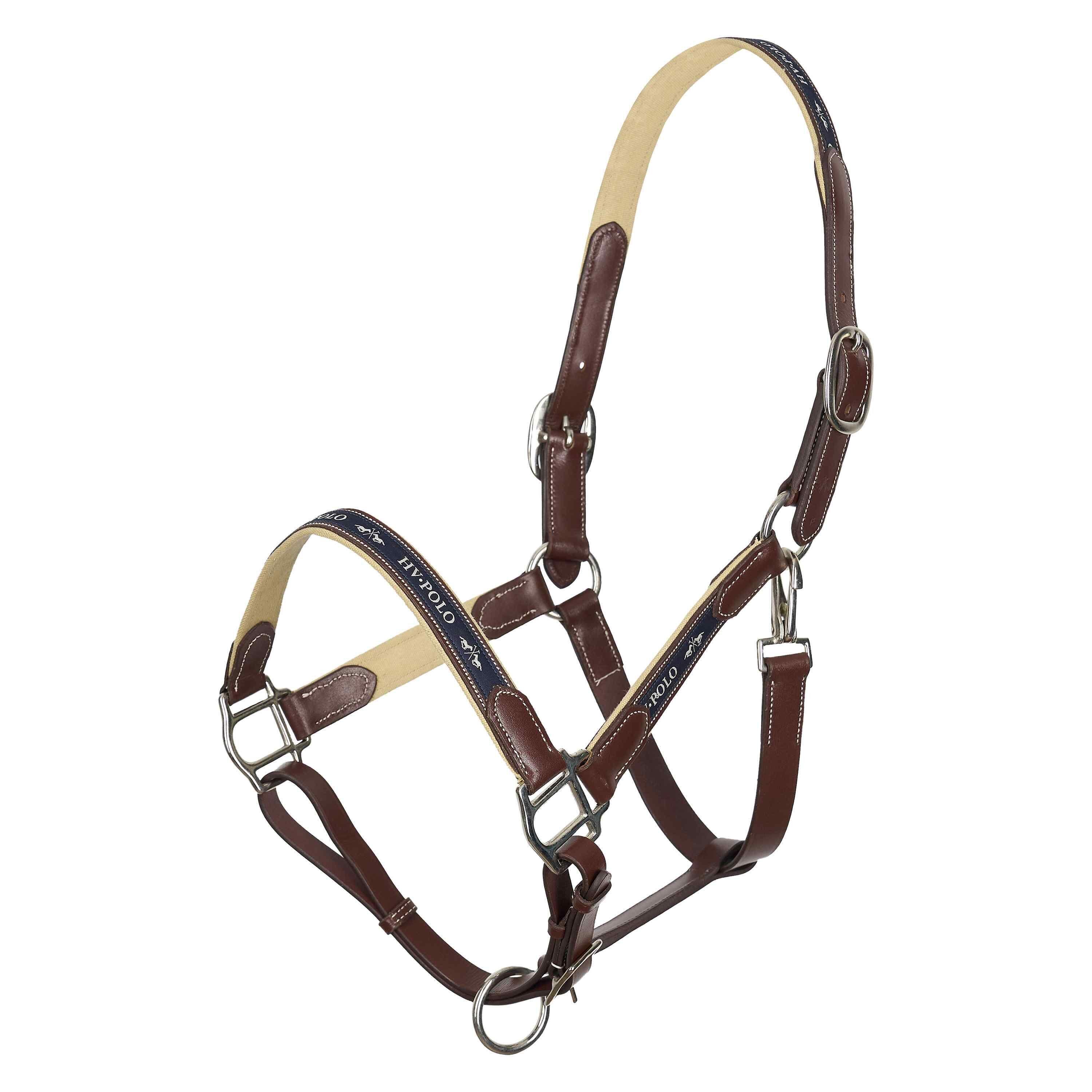 HV Polo Iconic cavezza in cuoio per cavallo