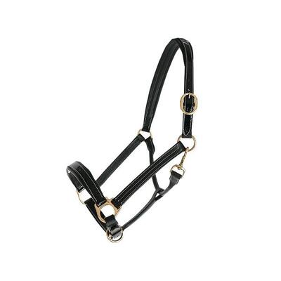 Leren halster voor paarden chetak bright