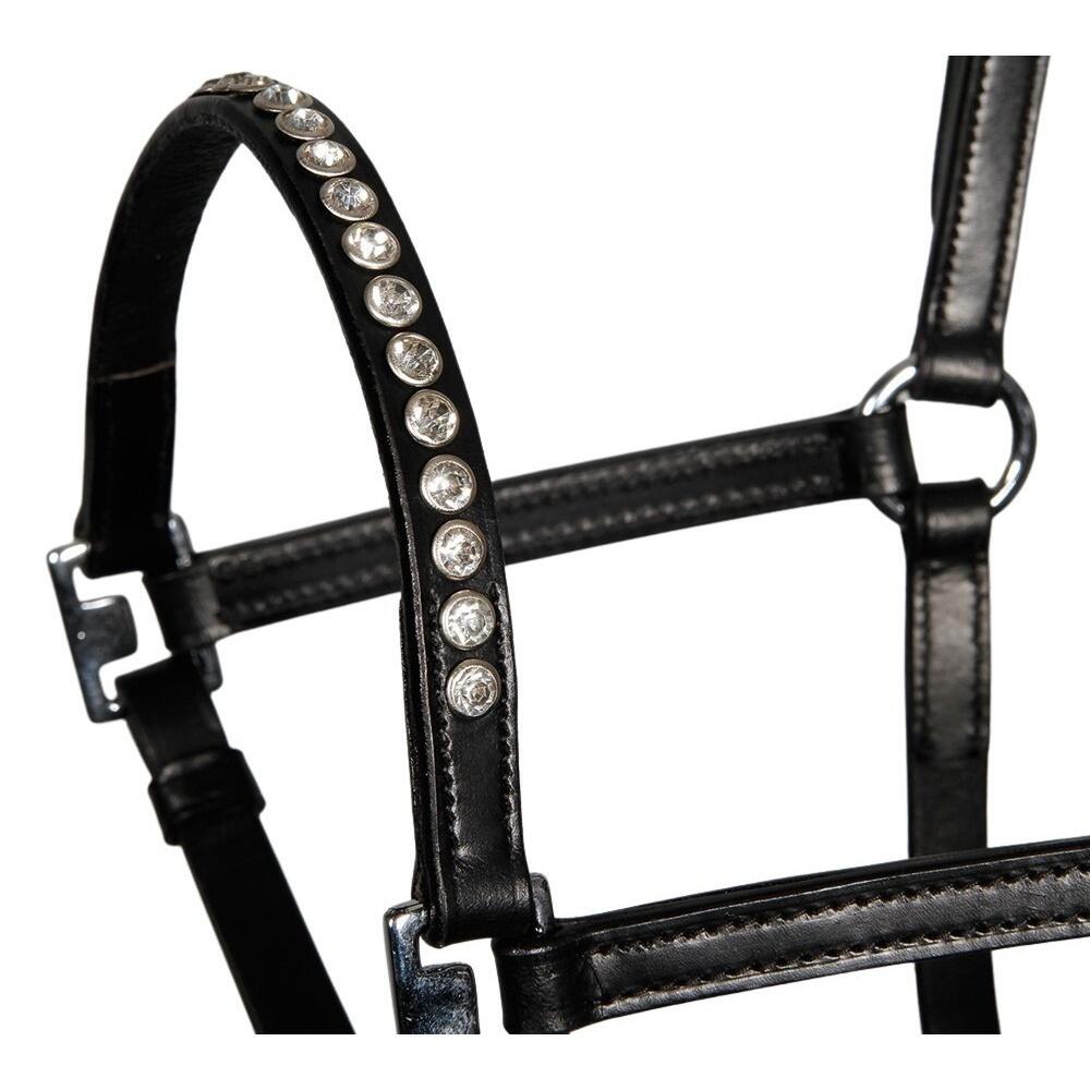 Fohlenhalfter aus Leder mit Kristall Harry's Horse 2/2
