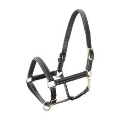 Licol pour cheval en cuir doublé bombée Tattini