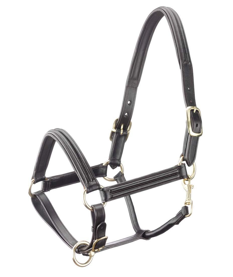 TATTINI Lederen halster voor paarden met gebogen voering Tattini