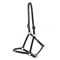 Licol pour cheval en cuir Premier Equine