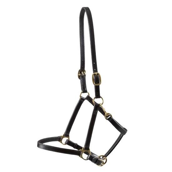 Licol pour cheval en cuir Premier Equine