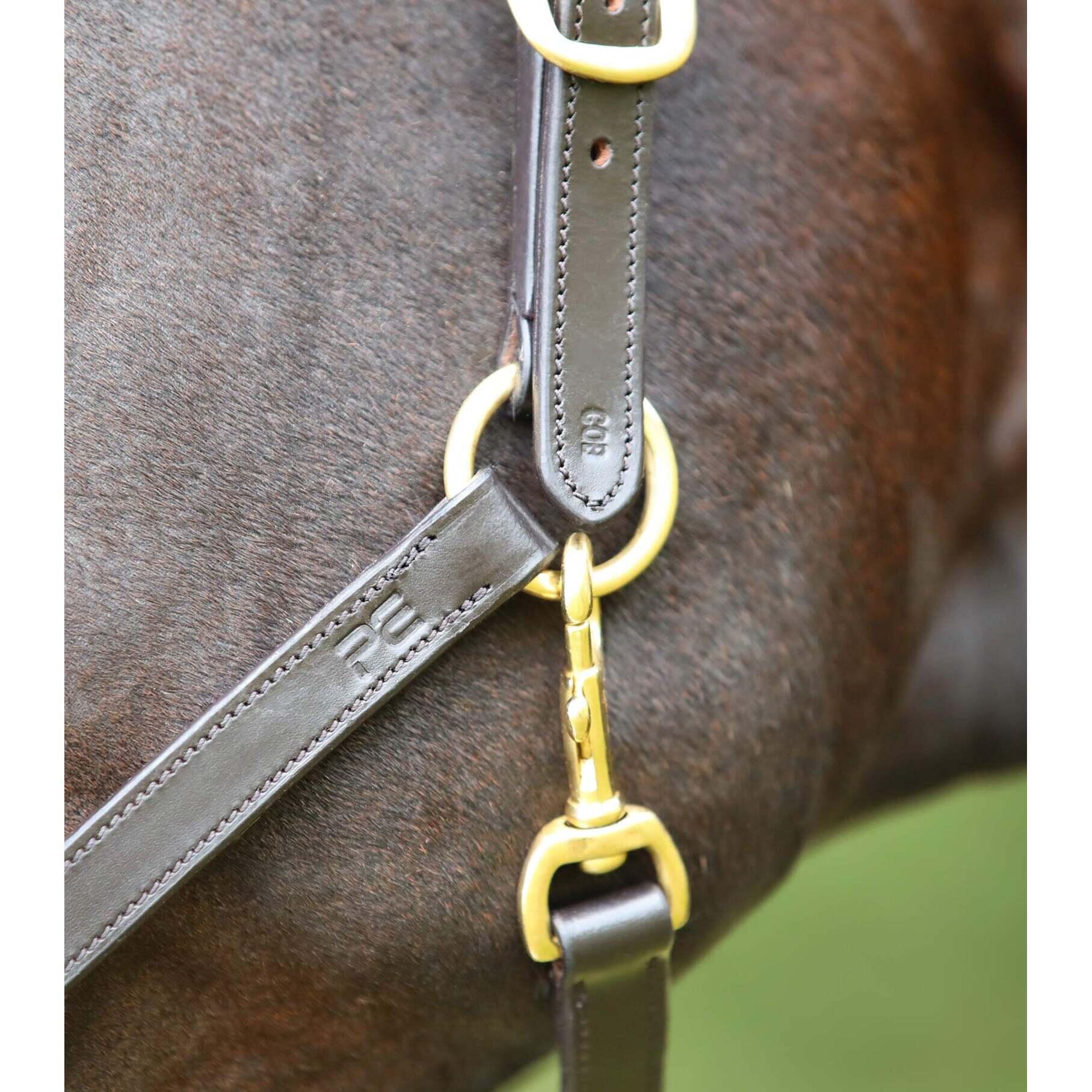 Licol pour cheval en cuir Premier Equine 3/4