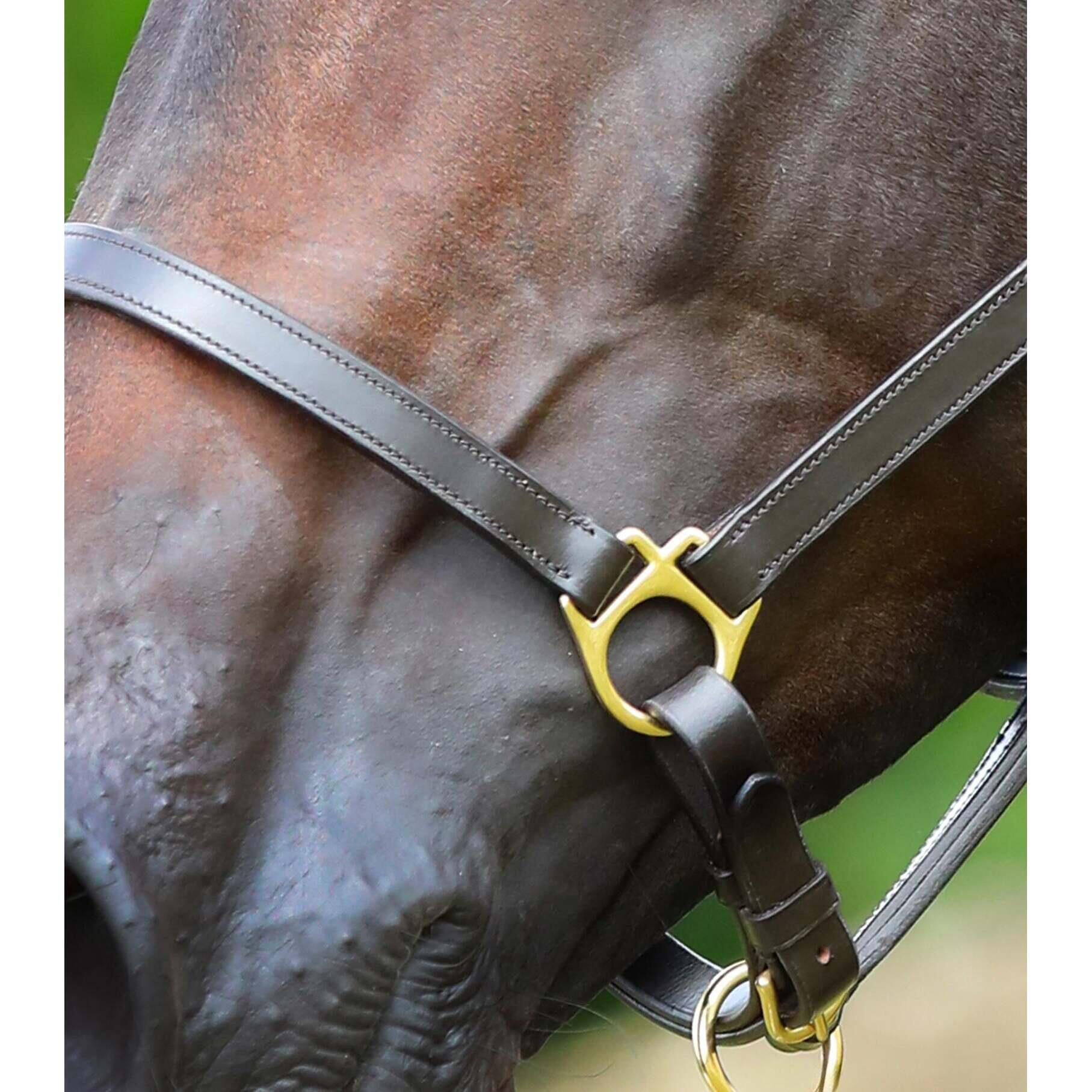 Licol pour cheval en cuir Premier Equine 4/4
