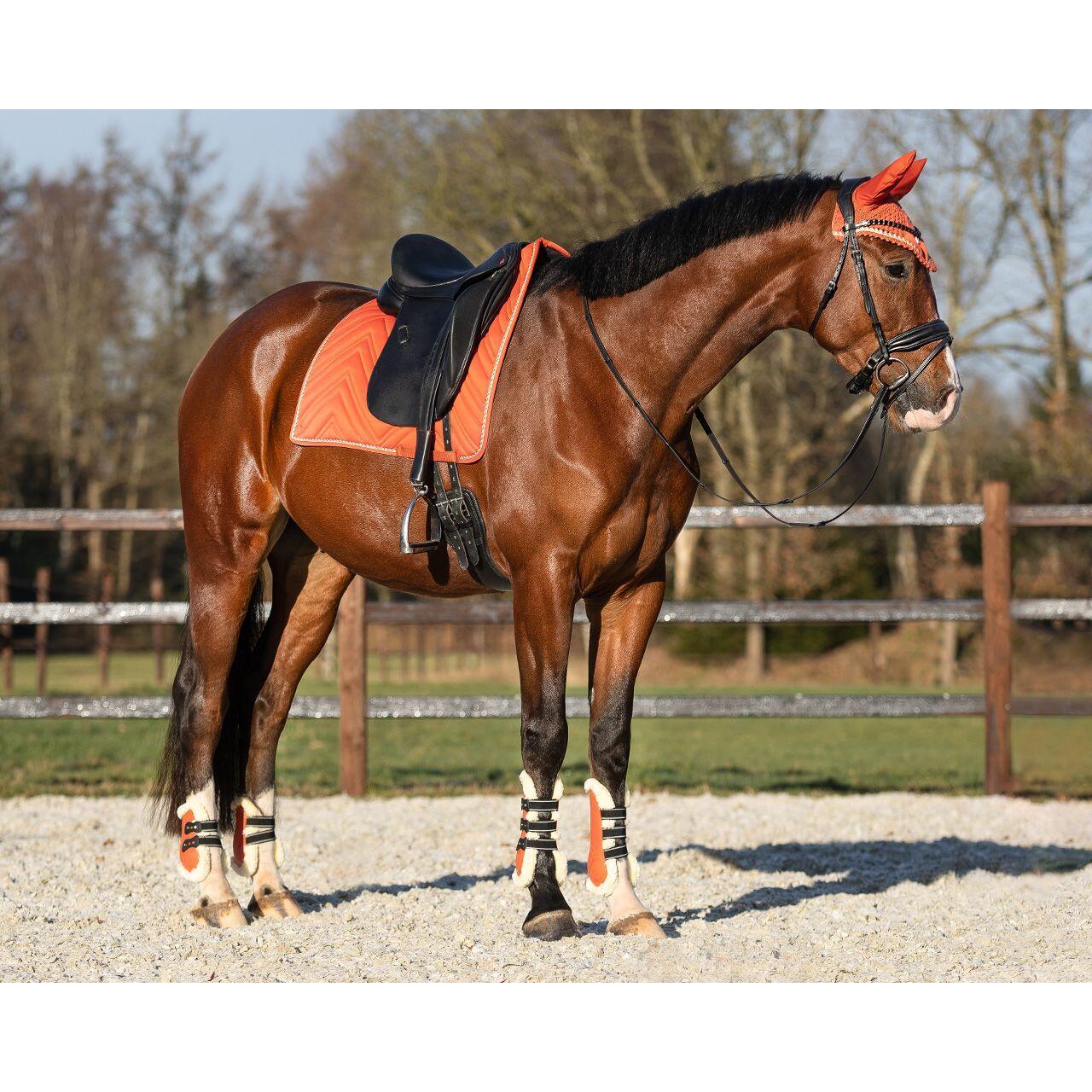 Paardenvoeten QHP Menton 2/4