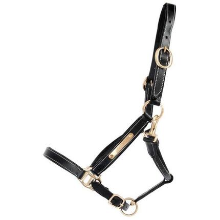 Licol pour cheval en cuir avec plaque T de T