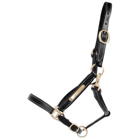 Licol pour cheval en cuir avec plaque T de T
