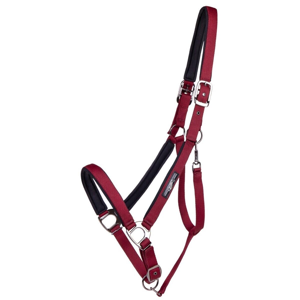 NORTON : Licol Pour Cheval de Trait - Rouge vif NORTON : Licol Pour Cheval de Trait - Rouge vif
