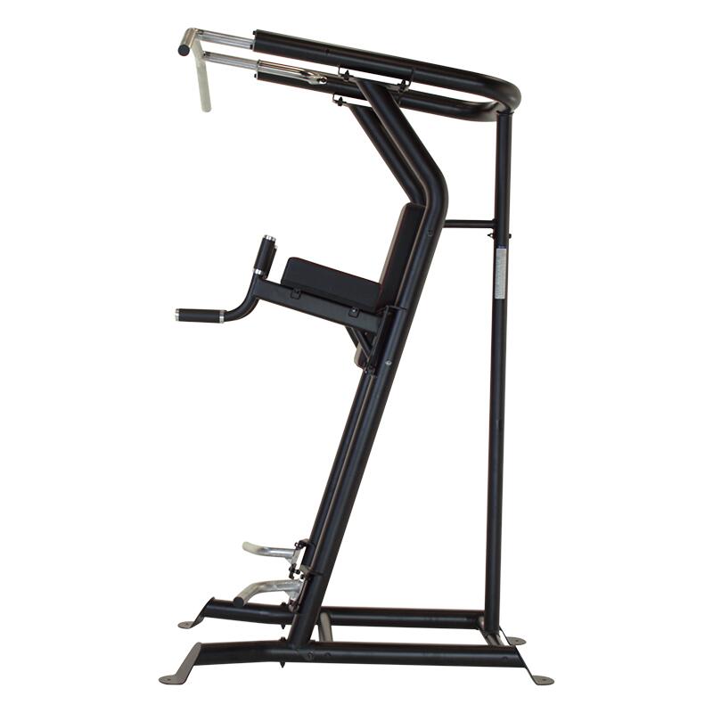 Inspire VKR - Vertical Knee Raise 2/6