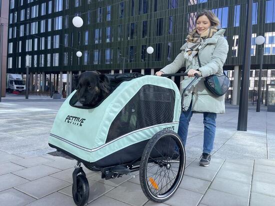 Passeggino-rimorchio per bicicletta per cani PETRIVE fino a 40 kg