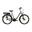 Bicicleta Electrica Corwin 28326 - 28 Inch, 490mm, Gri