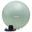 Ballon de fitness - Ballon de yoga - Pompe incluse - Capacité de charge 220 kg