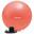 Fitnessbal - Yoga bal - Gymbal - Pilates bal - Incl. pomp - 220 kg belastbaar