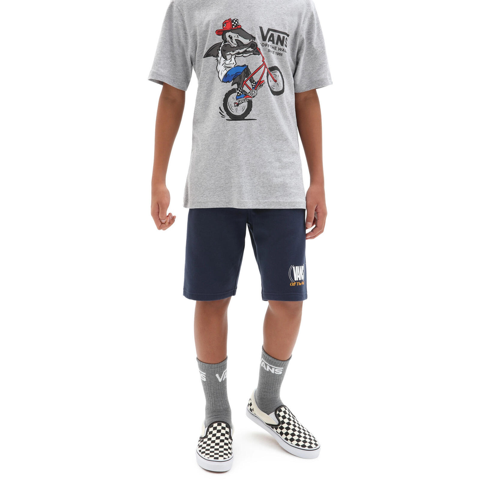 VANS picture
