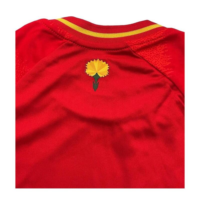 Camiseta Fútbol España Eurocopa 2024 1ª Equipación Réplica Oficial Sin Dorsal