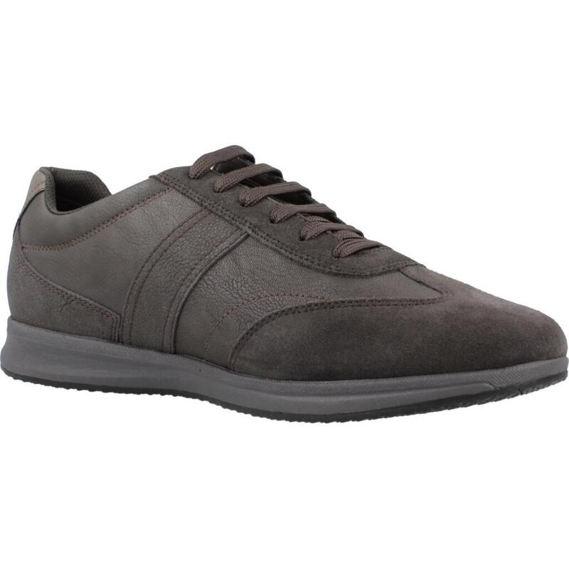 Zapatillas hombre Geox U Avery Gris