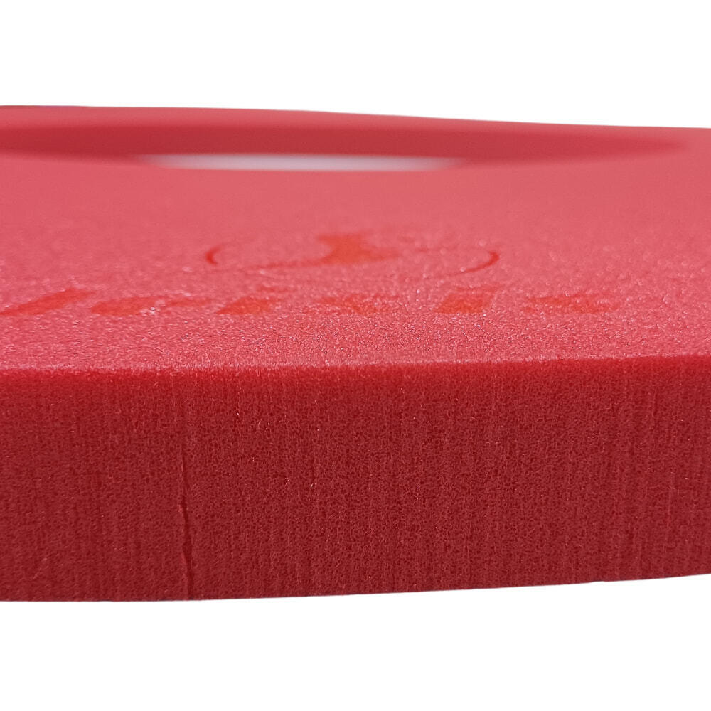Disco de Natación Leisis Flotante con Agujero Central 35 mm Rojo 100x3 cm 2/3
