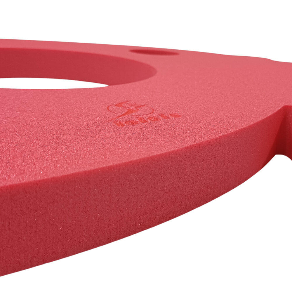 Tapiz de Natación Leisis Flotante de Pez Rojo 52,5x65,5x4 cm 2/3