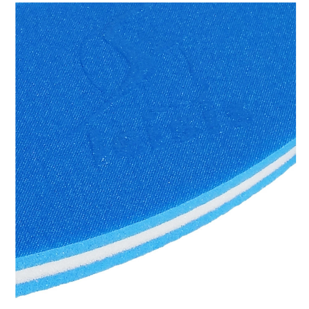 Tapiz de Natación Leisis Flotante Film de Pez Azul 52,5x65,5x4 cm 3/3