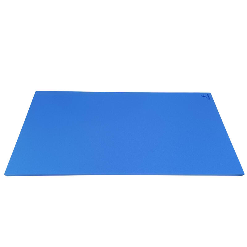 Tapiz de Natación Leisis Flotante Azul 200x100x4 cm