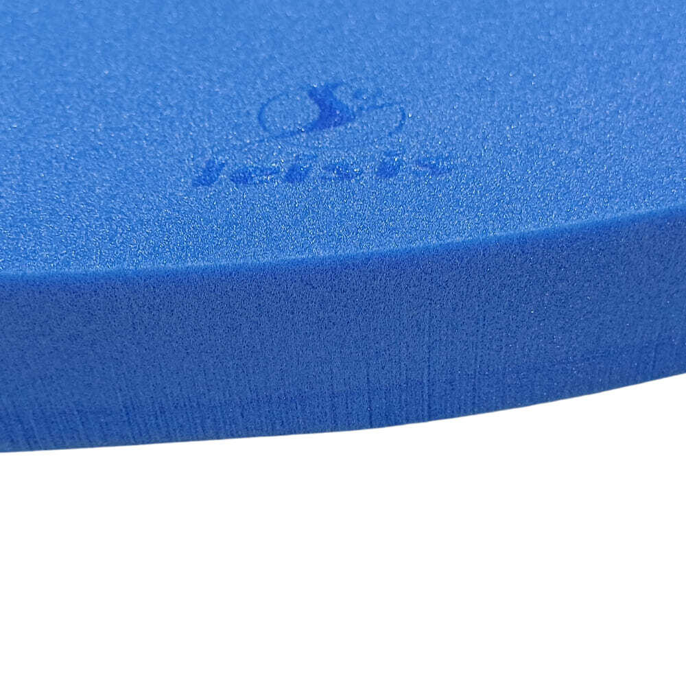Tapiz de Natación Leisis Flotante de Pez Azul 52,5x65,5x4 cm 2/3