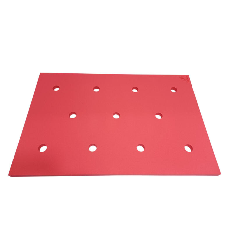 Tapiz de Natación Leisis Flotante con 11 Orificios para Churro Rojo 150x100x4 cm