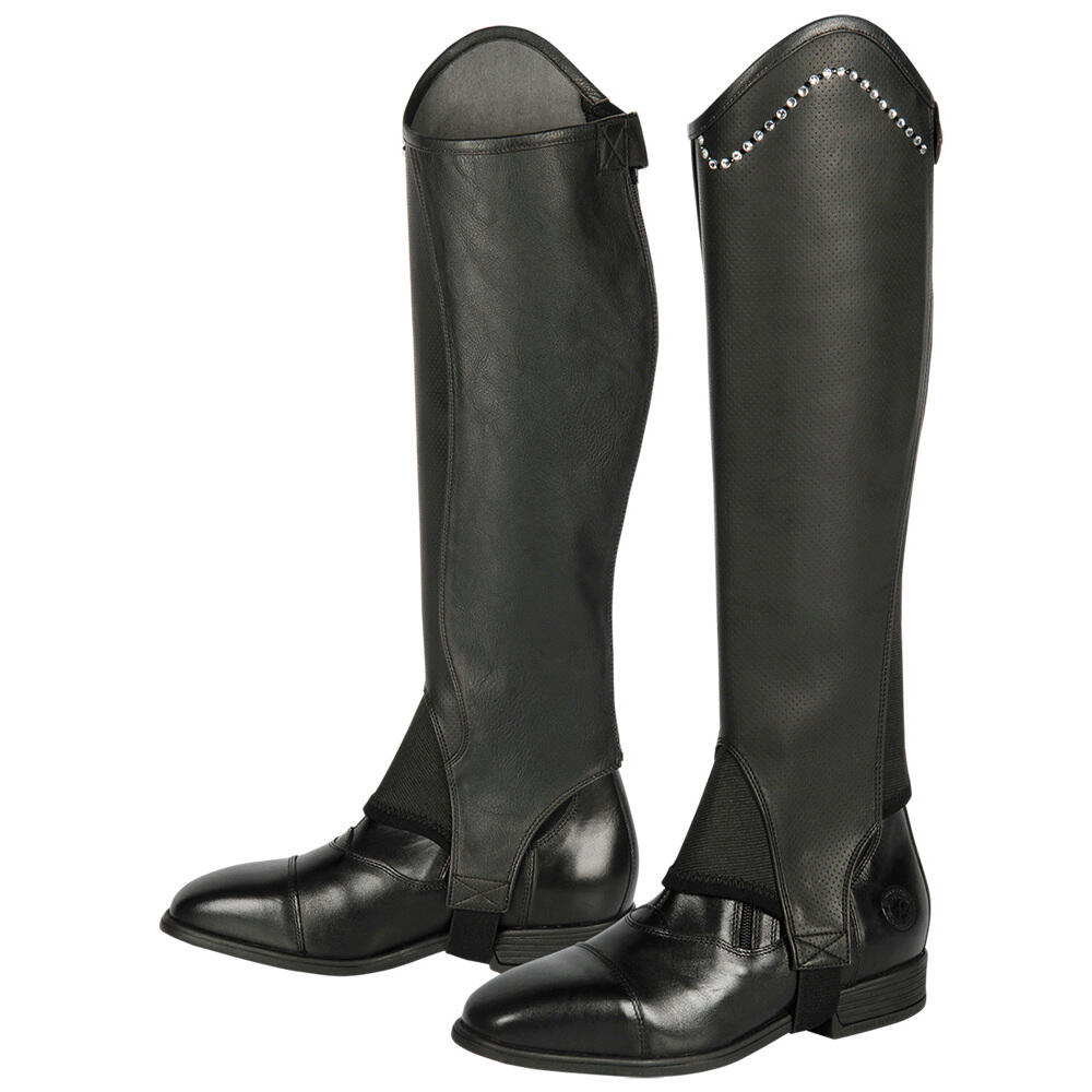 Half Chaps Harry's Horse Asteroid