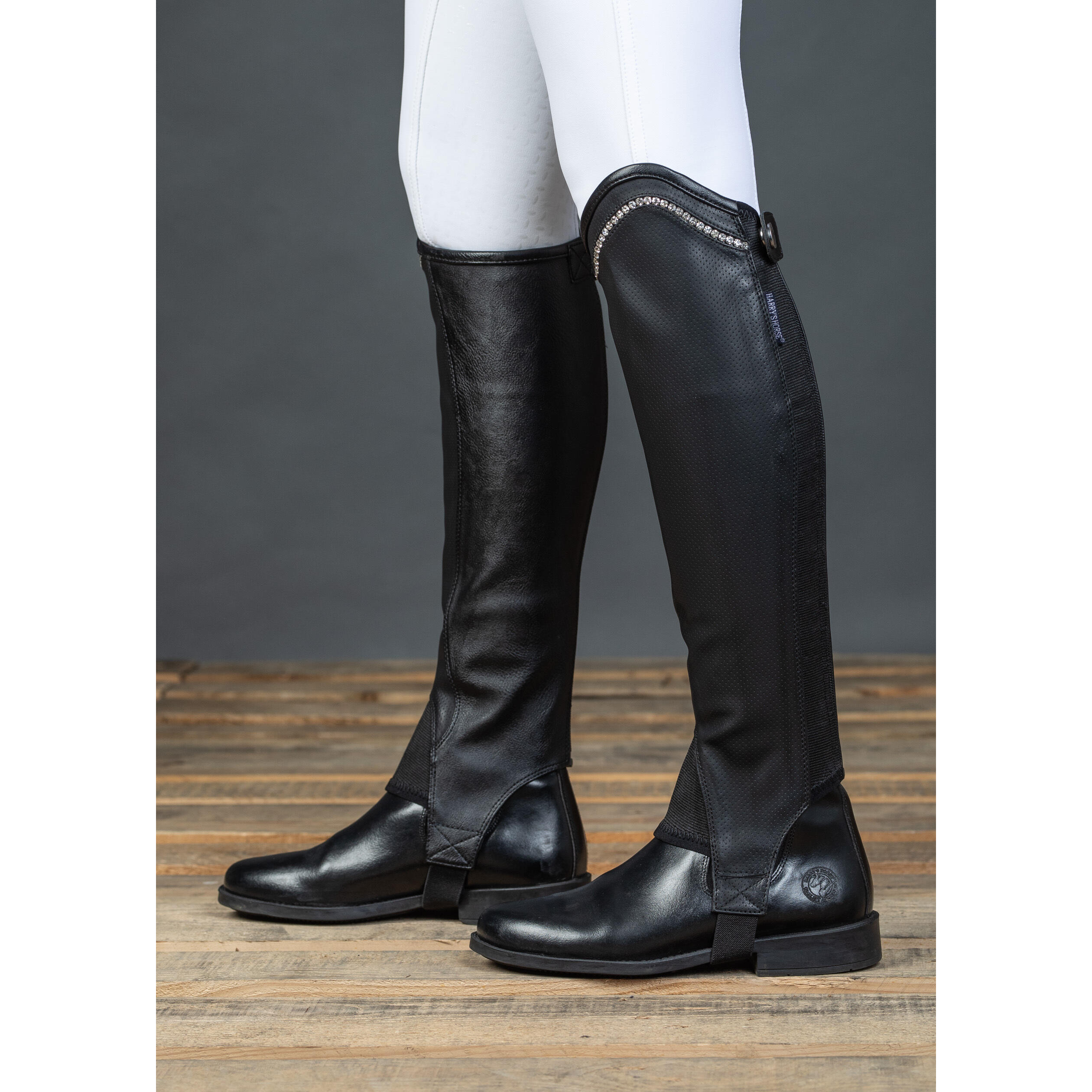 Harry's Horse Asteroid mini-chaps