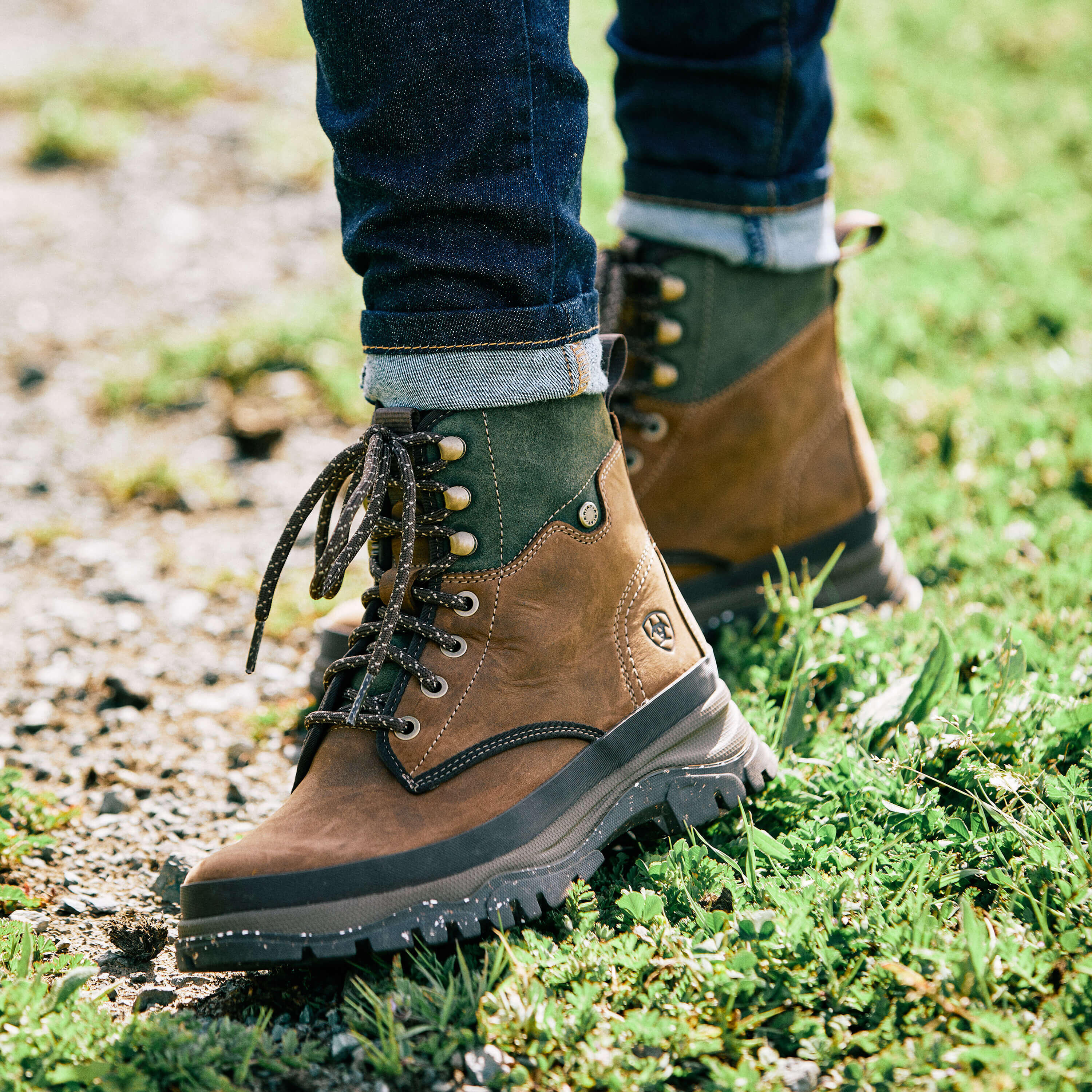 Wasserdichte Stiefeletten Frau Ariat Moresby H2O 3/6