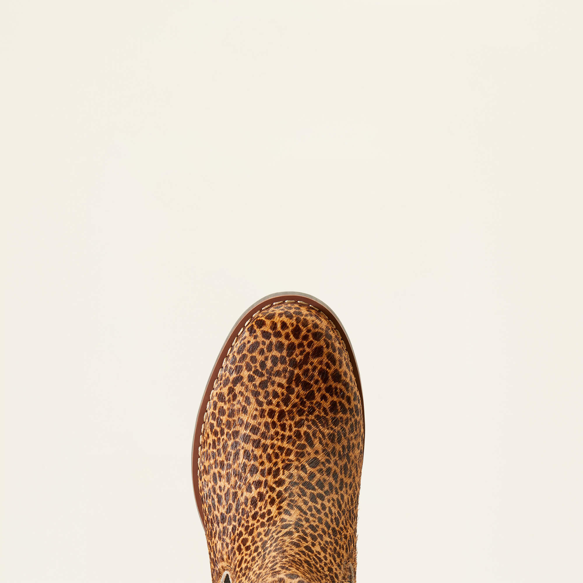 Damen Stiefeletten Ariat Wexford 6/6