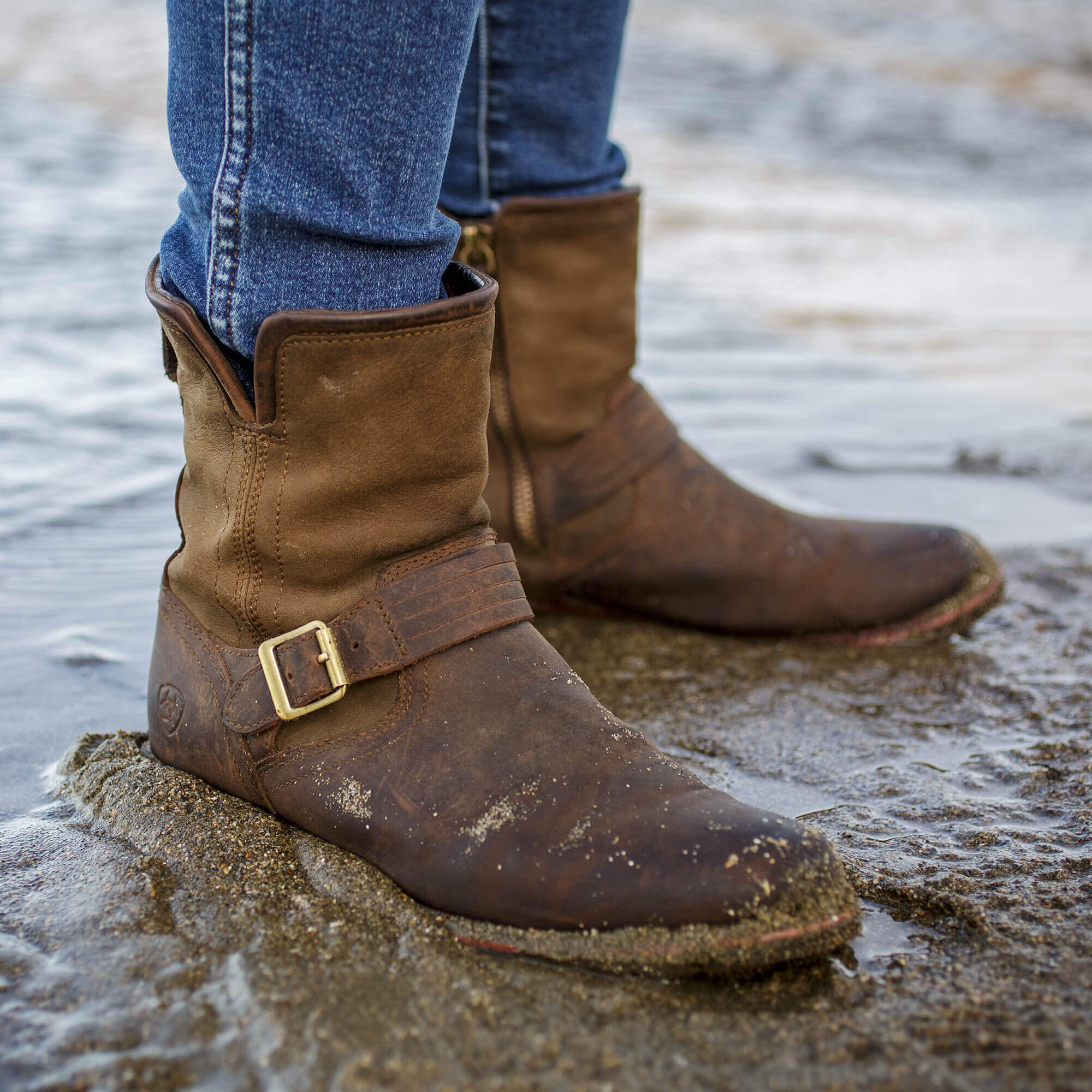 Wasserdichte Stiefeletten Frau Ariat Savannah H2O 3/6