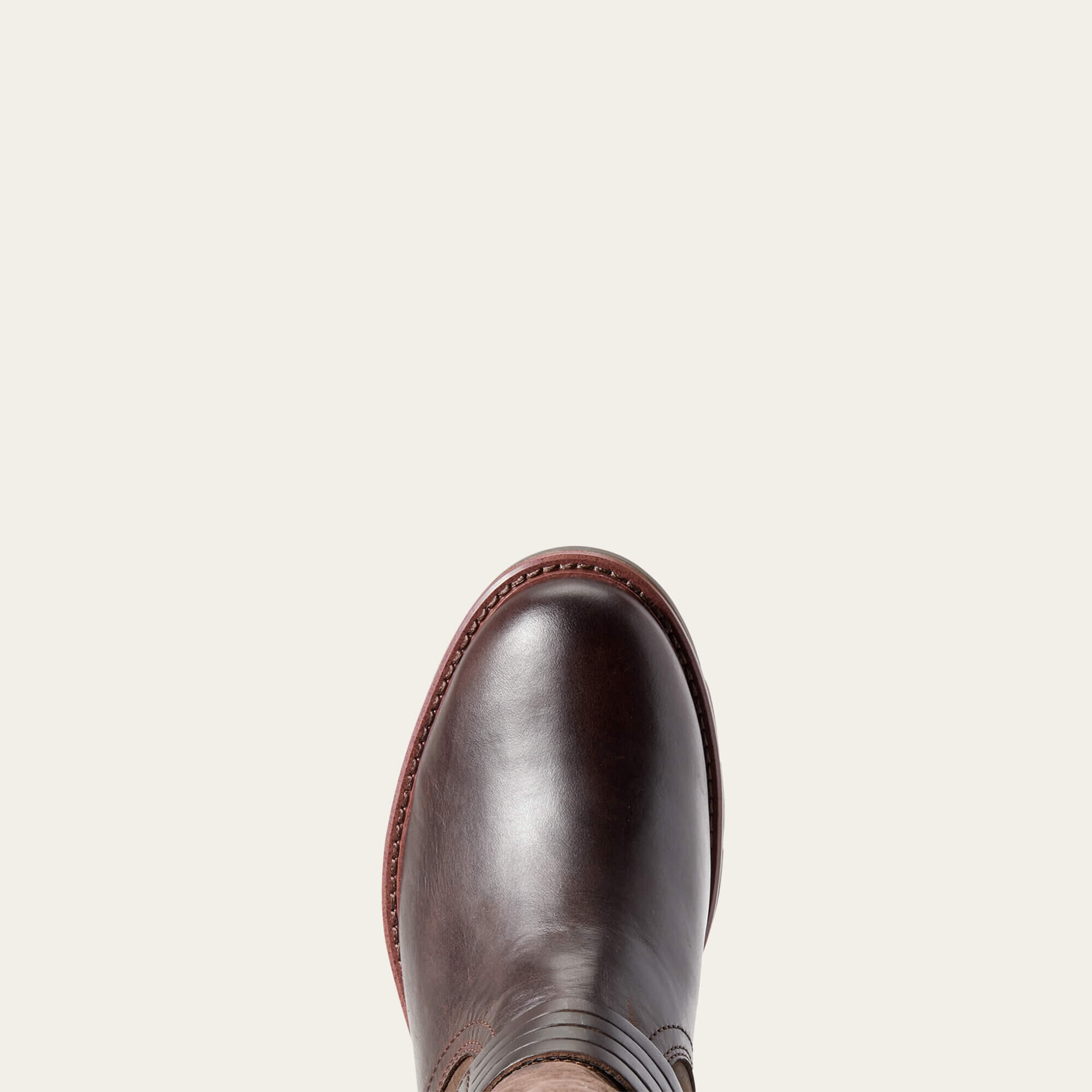Wasserdichte Stiefeletten Frau Ariat Savannah H2O 6/6