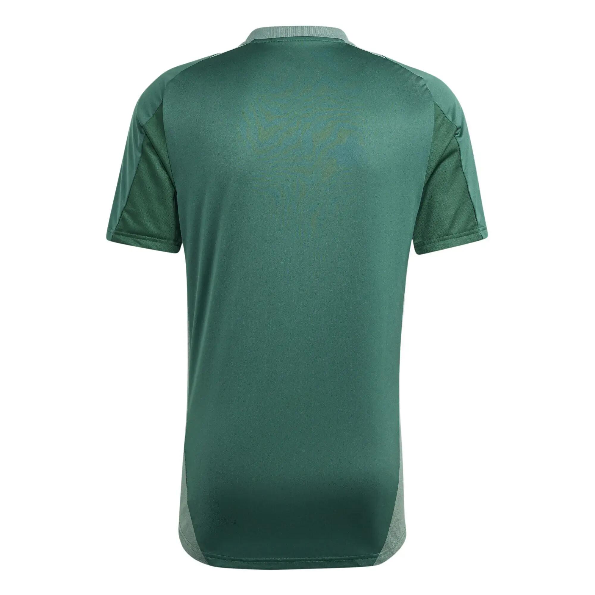 Maglia da allenamento Algérie 2024/25 3/5
