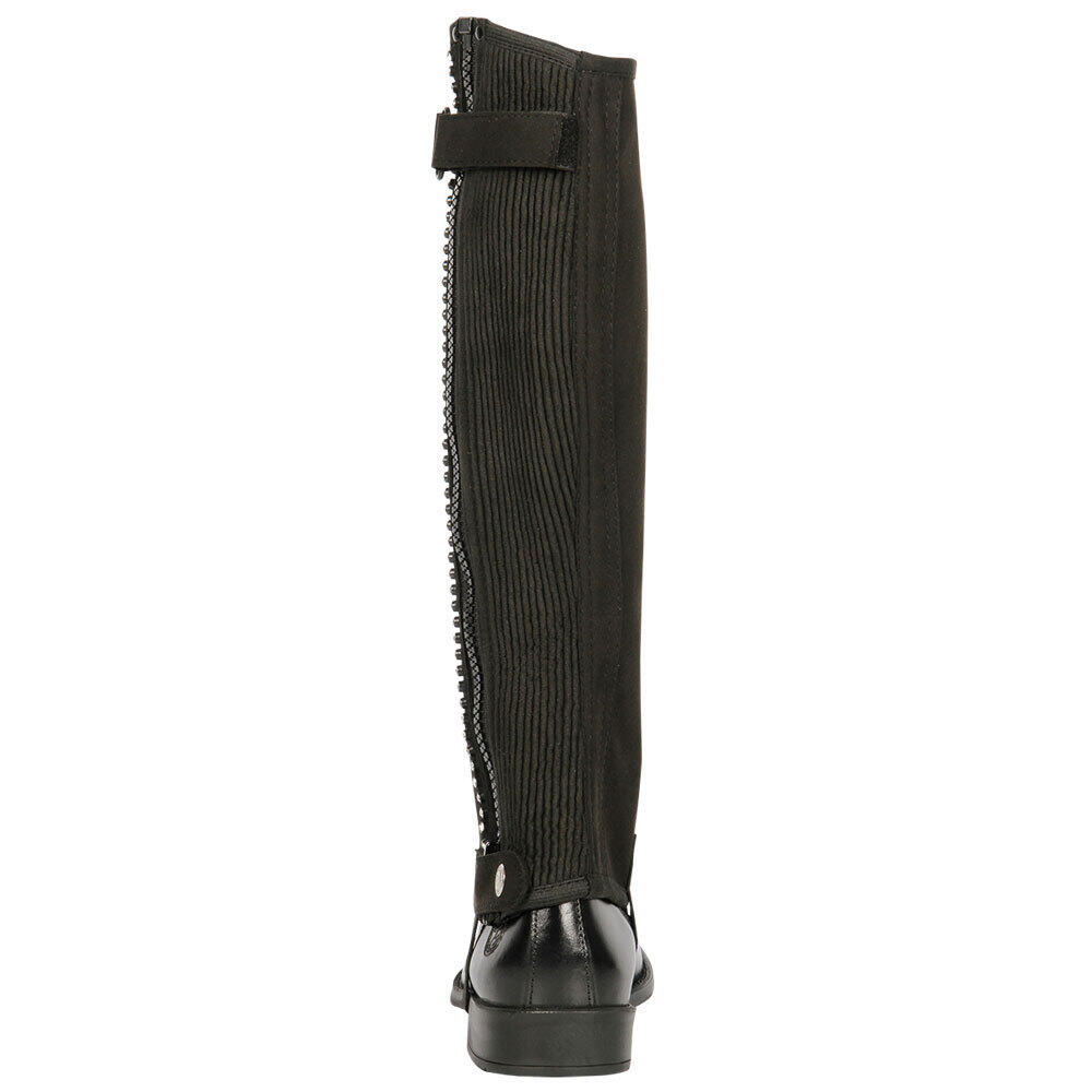 Mini-chaps Harry's Horse Amara Crystal 2/3
