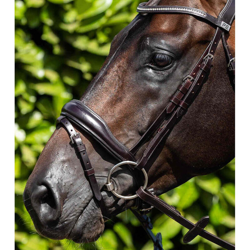 Paar netposten voor paarden Premier Equine