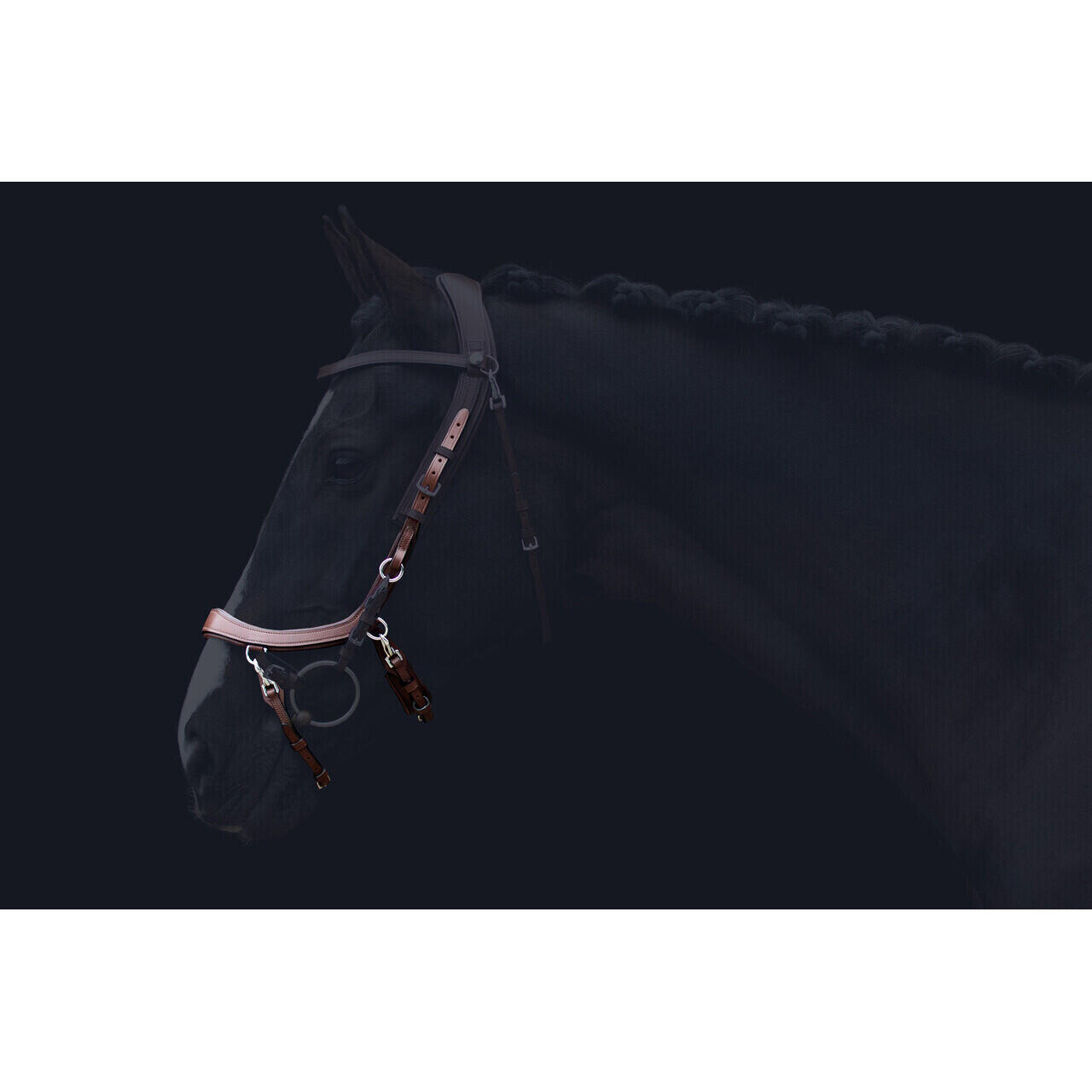 Presteq FaySport horse noseband