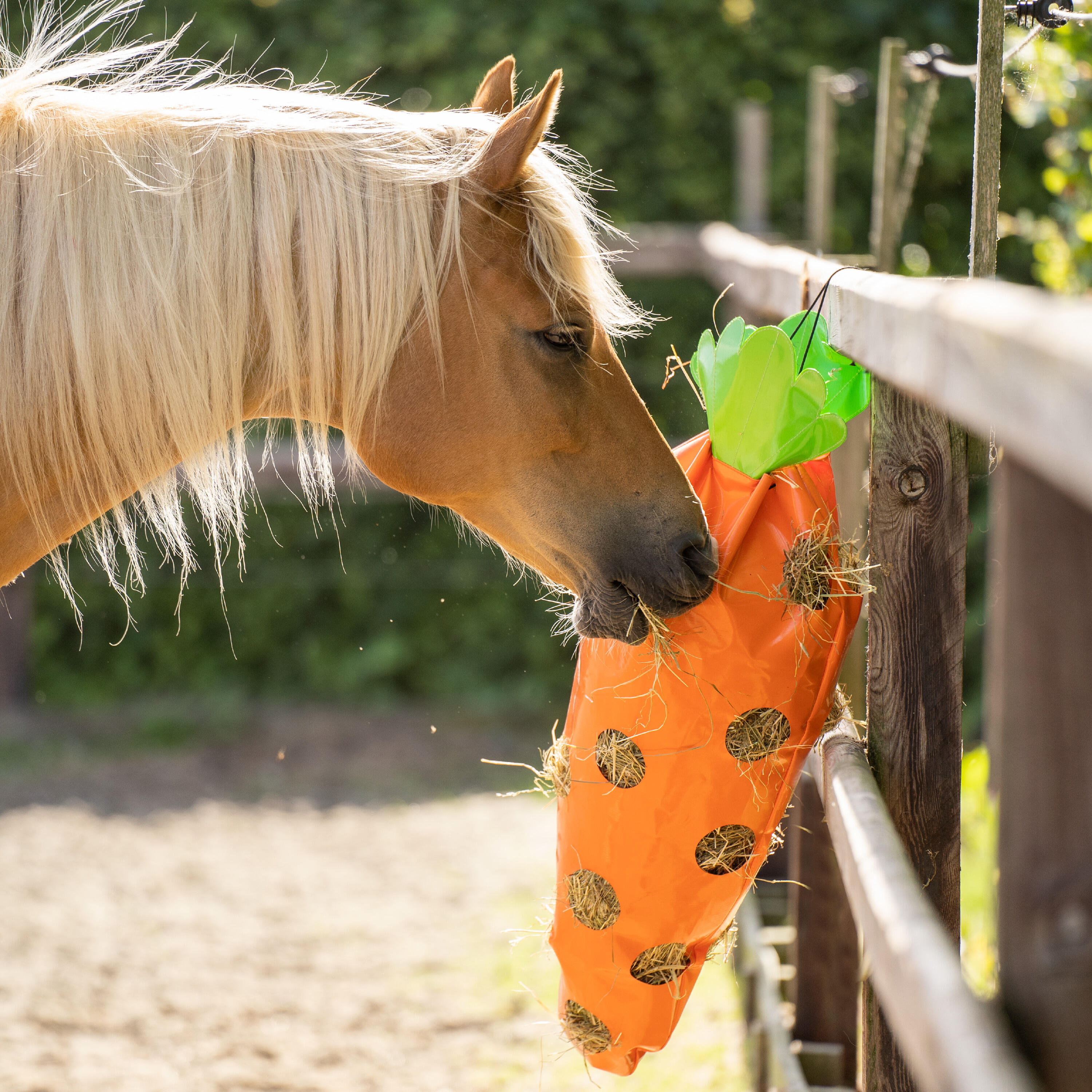Heusack für Pferde Imperial Riding Carrot 4/4