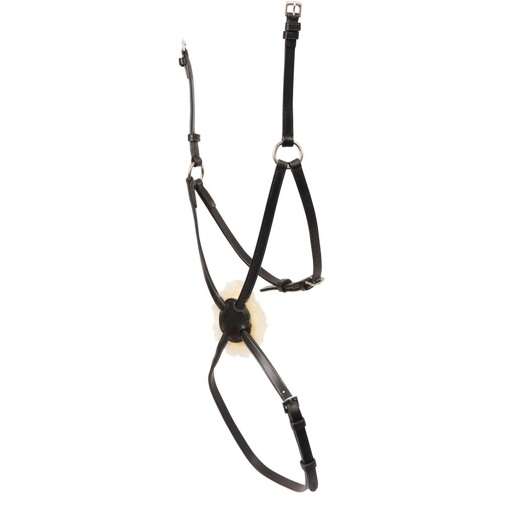 Horse cheek pieces Weatherbeeta Collegiate Mono Crown Grackle