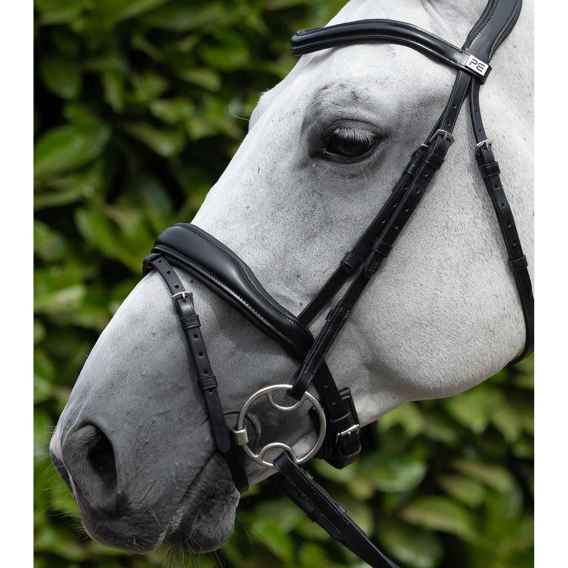 Coppia di paletti di rete per cavalli Premier Equine 2/6