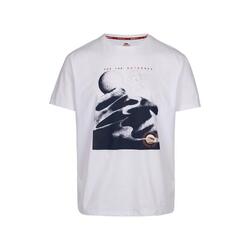 Tshirt SAGNAY Homme (Blanc)