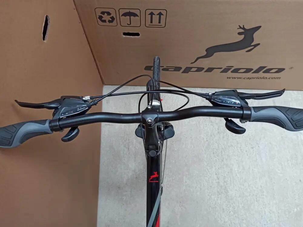 Férfi trekking kerékpár, 22coll - Capriolo Roadster Man 1.0 3/3